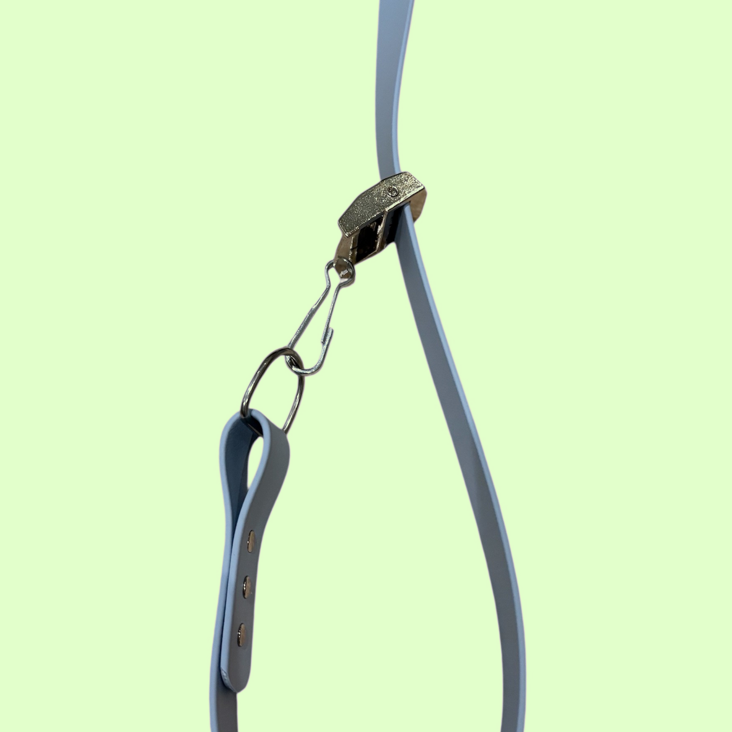Houndzilla the Heavy-Duty Lead