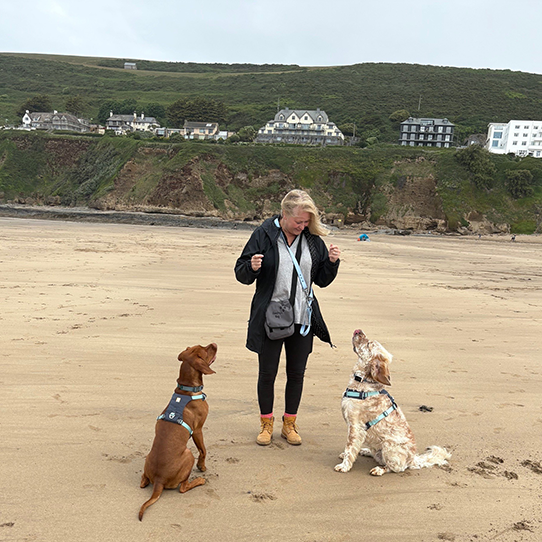 Woman on a beach with two well behaved dogs