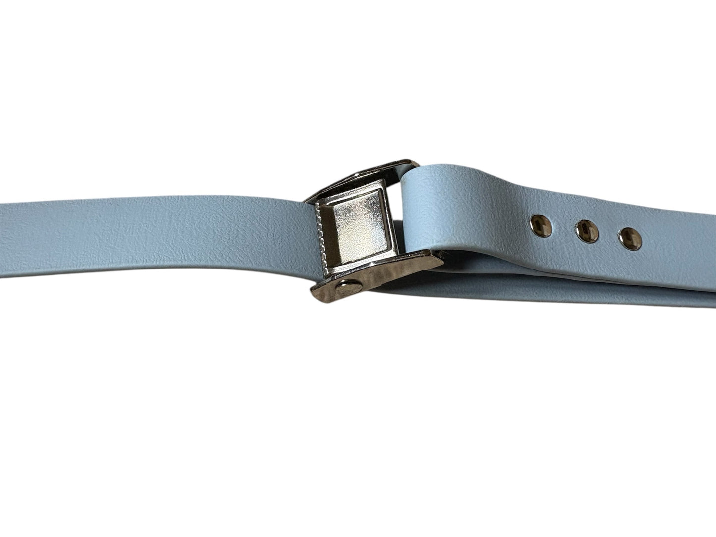 Houndzilla the Heavy-Duty Lead