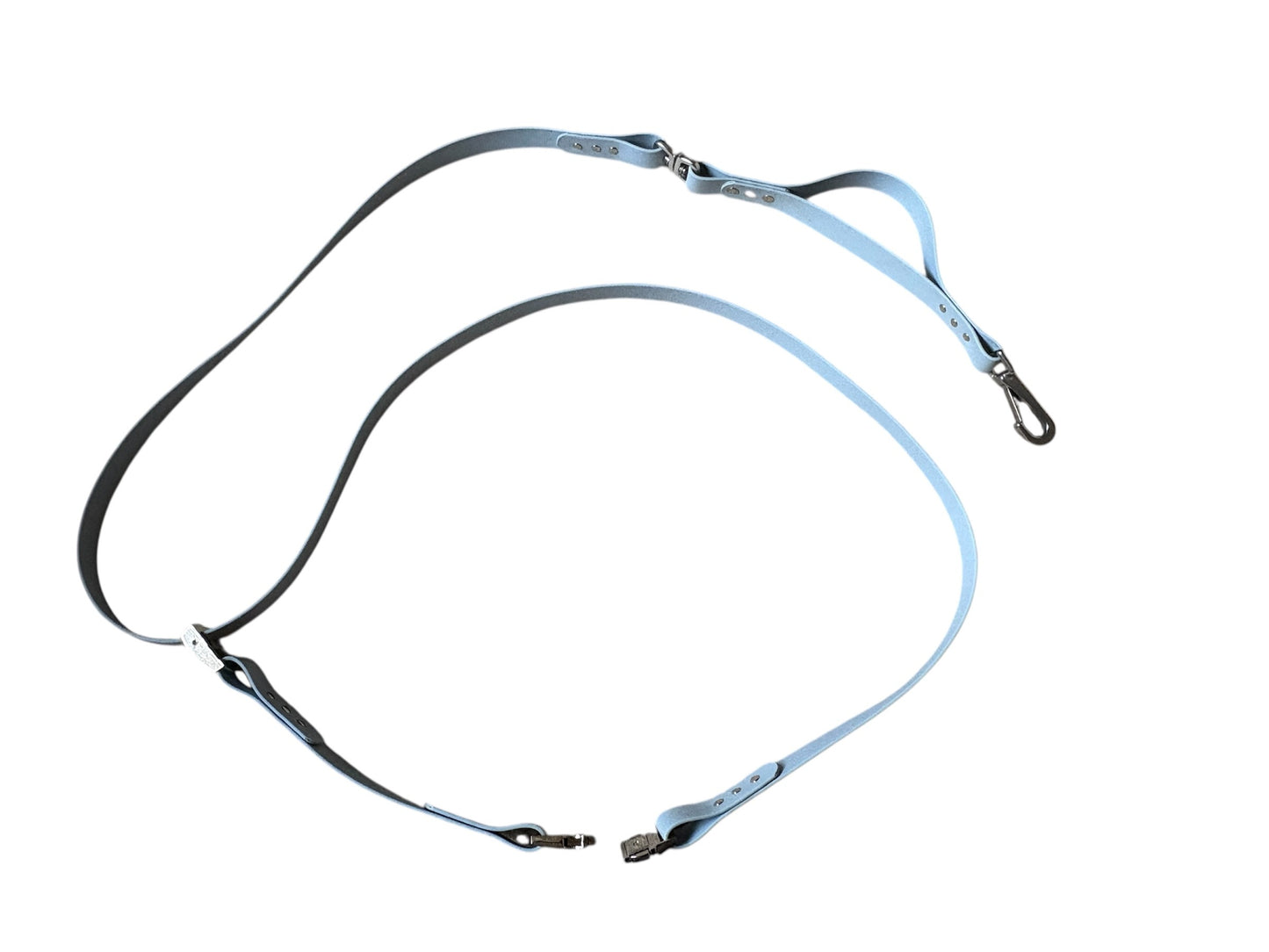 Houndzilla the Heavy-Duty Lead