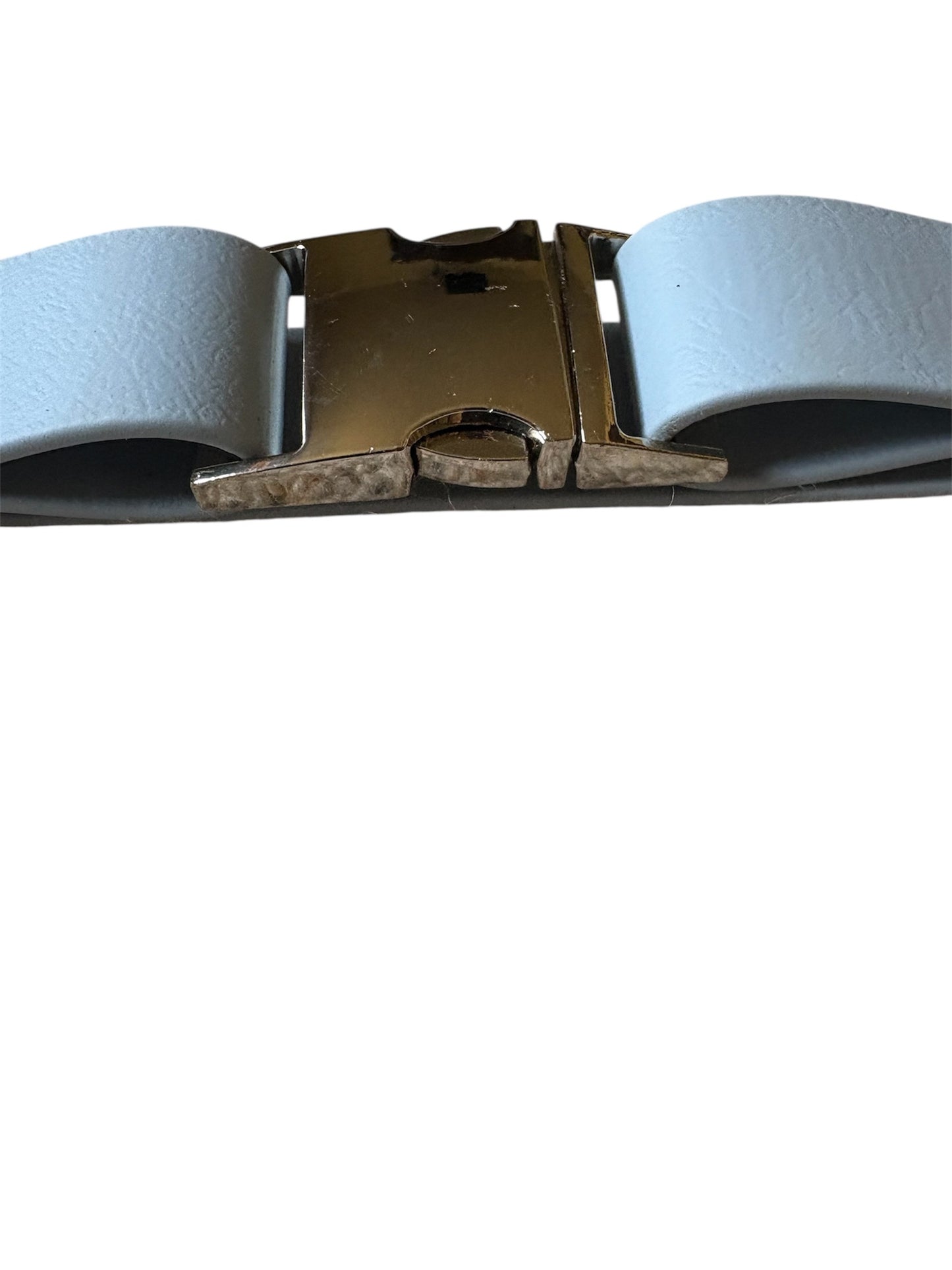 Houndzilla the Heavy-Duty Lead