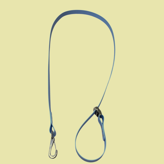 Walkie Talkie – Light Lead for Chill Walks